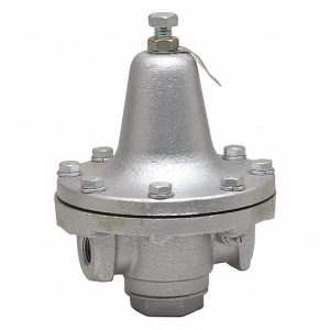 WASHER SOLUTIONS WS11392 Process Steam Pressure Regulator - 11392