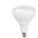 STERIS P117903-100 Light Bulb - 2034