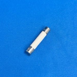 STERIS P764317-448 Glass Fuse 15A (Box of 5) - 2319