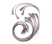 QUINTON 031257-001 Lead Wire Set 10 pin - 3628