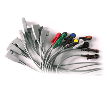 QUINTON 031257-002 Grabber Lead Wire Set 10 pin - 3629