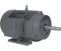 LYNX P0117010043 Close Couple Motor 10HP 3600 RPM TEFC 215 JM Frame 3/60/208230460 VAC - 4775