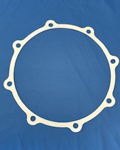 STERIS P117997-965 PTFE Gasket (Pump Casing) - 7448