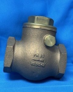 TUTTNAUER ARM172-0006 Check Valve Swing 1-1/4