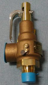 STERIS P077320-091 Safety Valve 3/4 x 1